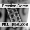 Érection Dorée 30